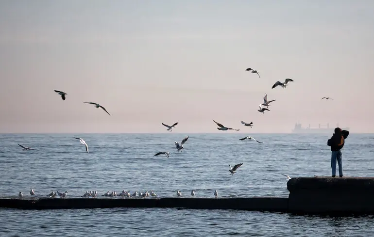 Zelensky announces no Russian landing troops in Odesa