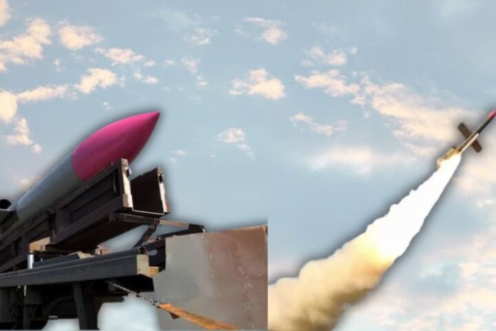 Ukraine unveils Flamingo long-range cruise missile