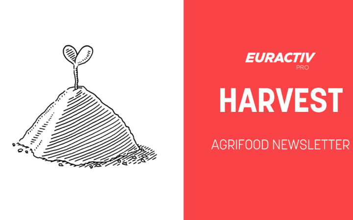 Acetamiprid faces scrutiny during Belgium's hot summer harvest