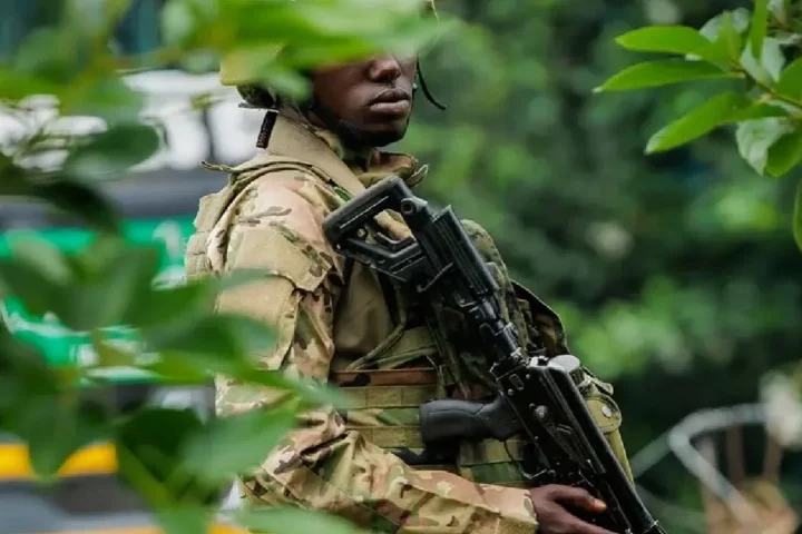 Amnesty International highlights atrocities by M23 and FARDC in eastern DRC