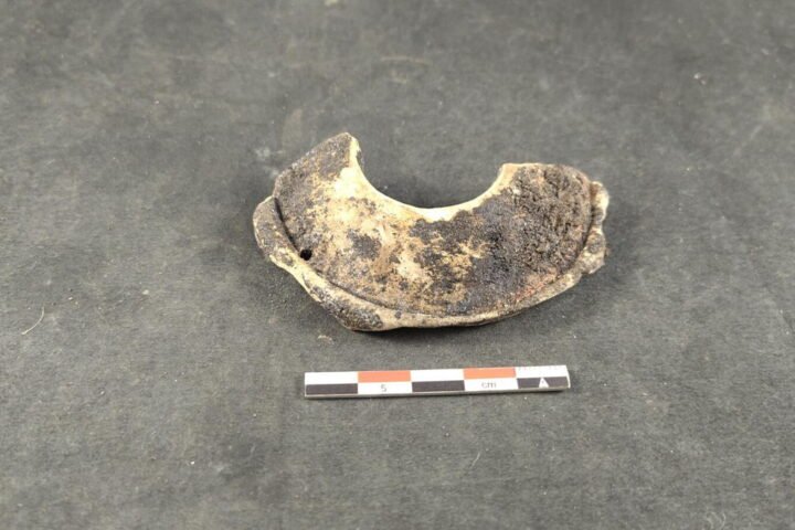 Archaeological excavation reveals over 250 skeletons in Ghent's Waspark