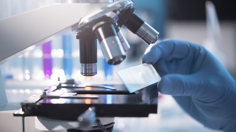 Belgium observes Ireland's new National Rare Disease Strategy emphasizing innovation and patient care