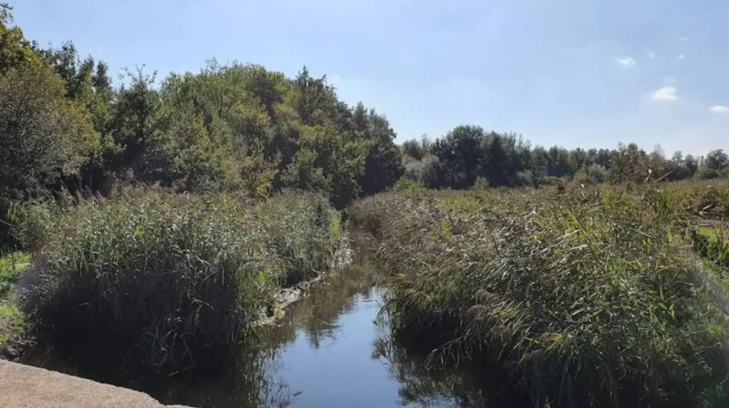 Boating banned on Dommel and Kleine Nete rivers amid low water levels in Belgium