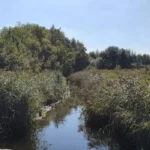 Boating banned on Dommel and Kleine Nete rivers amid low water levels in Belgium