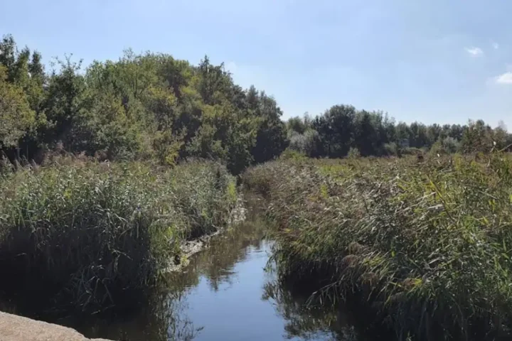 Boating banned on Dommel and Kleine Nete rivers amid low water levels in Belgium