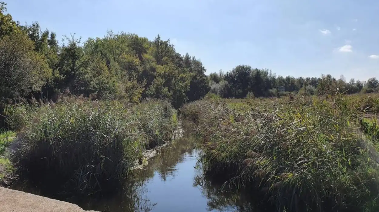 Boating banned on Dommel and Kleine Nete rivers amid low water levels in Belgium