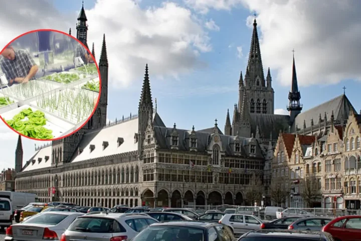 Boudry family initiates large-scale hydroponic leek farming in Ypres