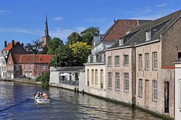 Bruges implements measures to safeguard swans from toxic algae in local canals