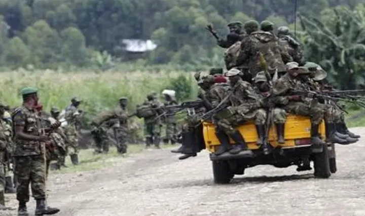Ceasefire agreement strained as peace talks resume between DR Congo and M23 in Doha