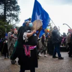 Chilean lawyer calls for genuine dialogue with Mapuche communities on land rights