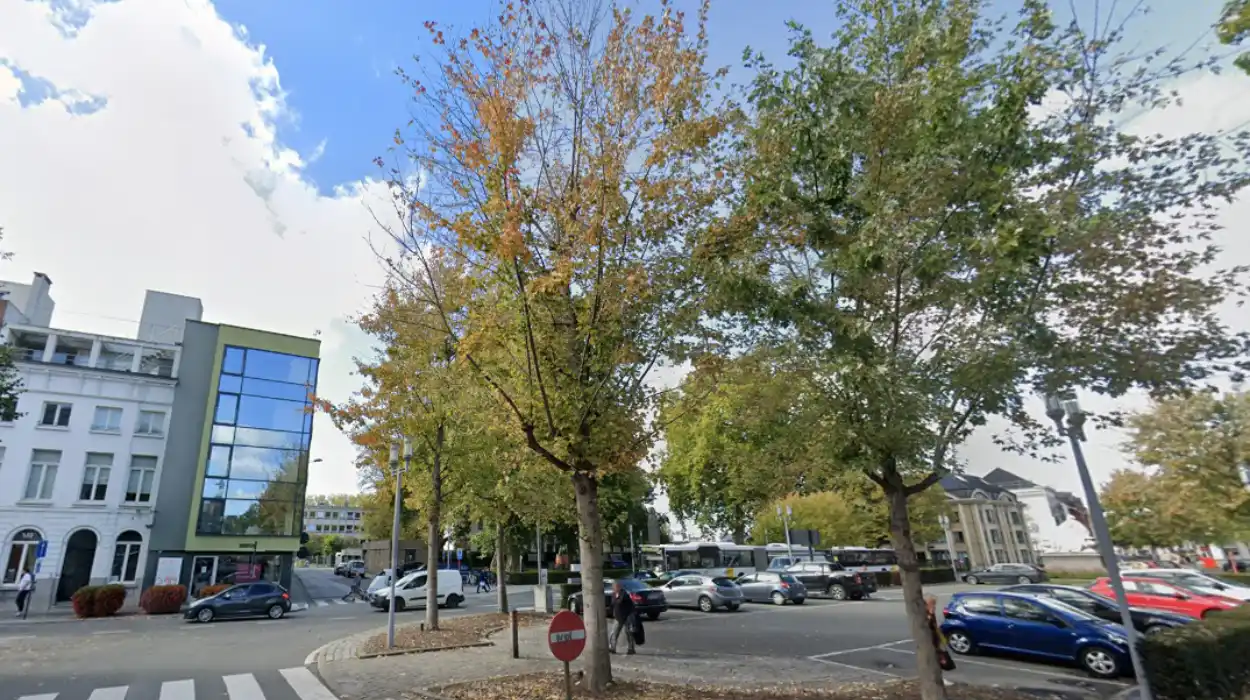 De Lijn bus driver attacked in Oudenaarde following traffic dispute