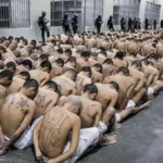 El Salvador's government extends pretrial detention, raising human rights concerns