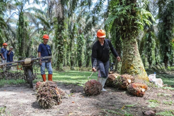 EU aims to conclude trade agreement with Indonesia by September amid ongoing challenges