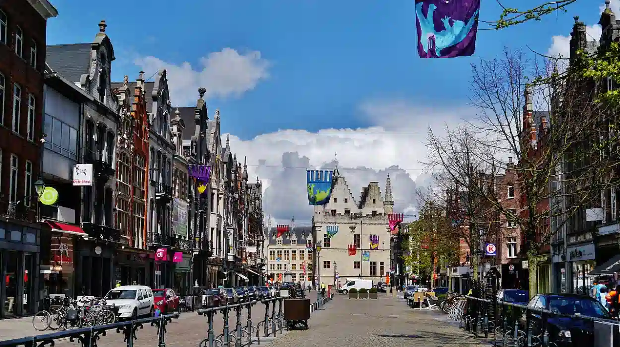 False alarm in Mechelen as crocodile sighting reveals plastic training object
