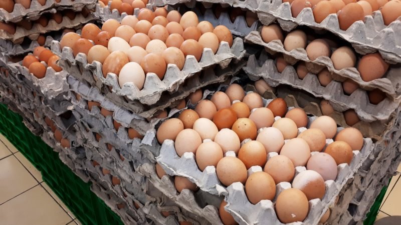 France urges EU to enhance border controls after banned antibiotic residues found in Ukrainian eggs