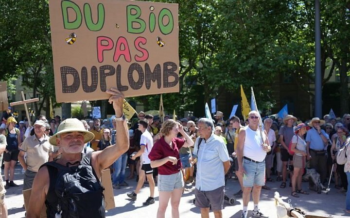 France's Constitutional Council denies reintroduction of prohibited pesticide