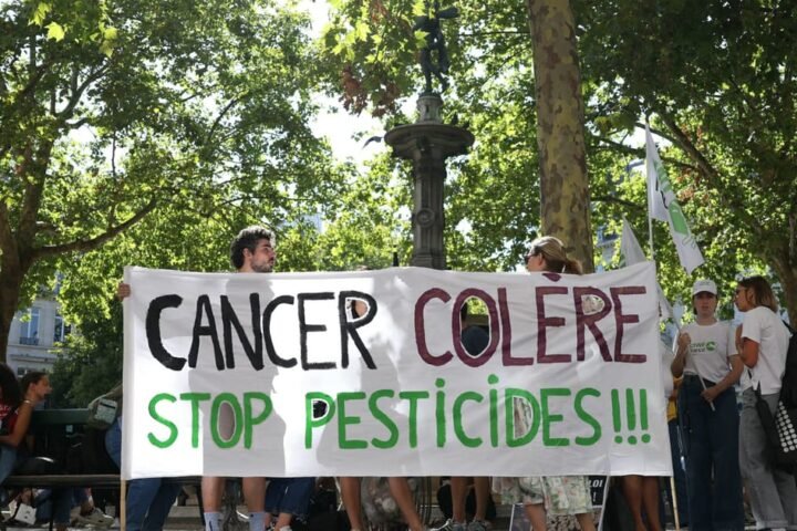 French court upholds ban on controversial neonicotinoids amid agricultural protests