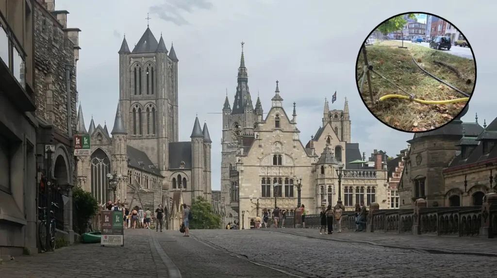 Ghent implements sprinkler system to protect €100,000 trees during Bijloke ring road construction