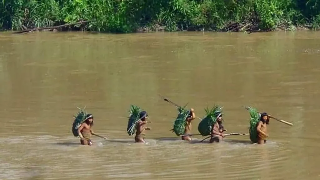 Indigenous groups call on Peru to recognize Yavari Mirim Indigenous Reserve to protect isolated peoples