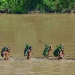 Indigenous groups call on Peru to recognize Yavari Mirim Indigenous Reserve to protect isolated peoples
