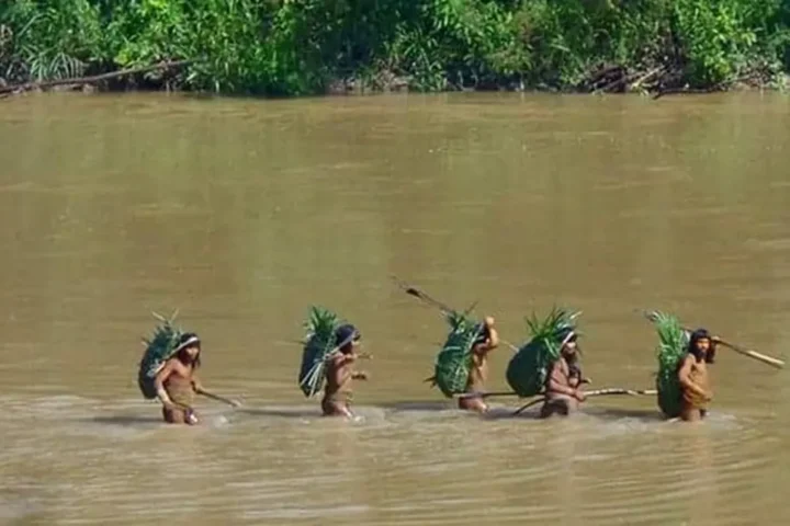 Indigenous groups call on Peru to recognize Yavari Mirim Indigenous Reserve to protect isolated peoples