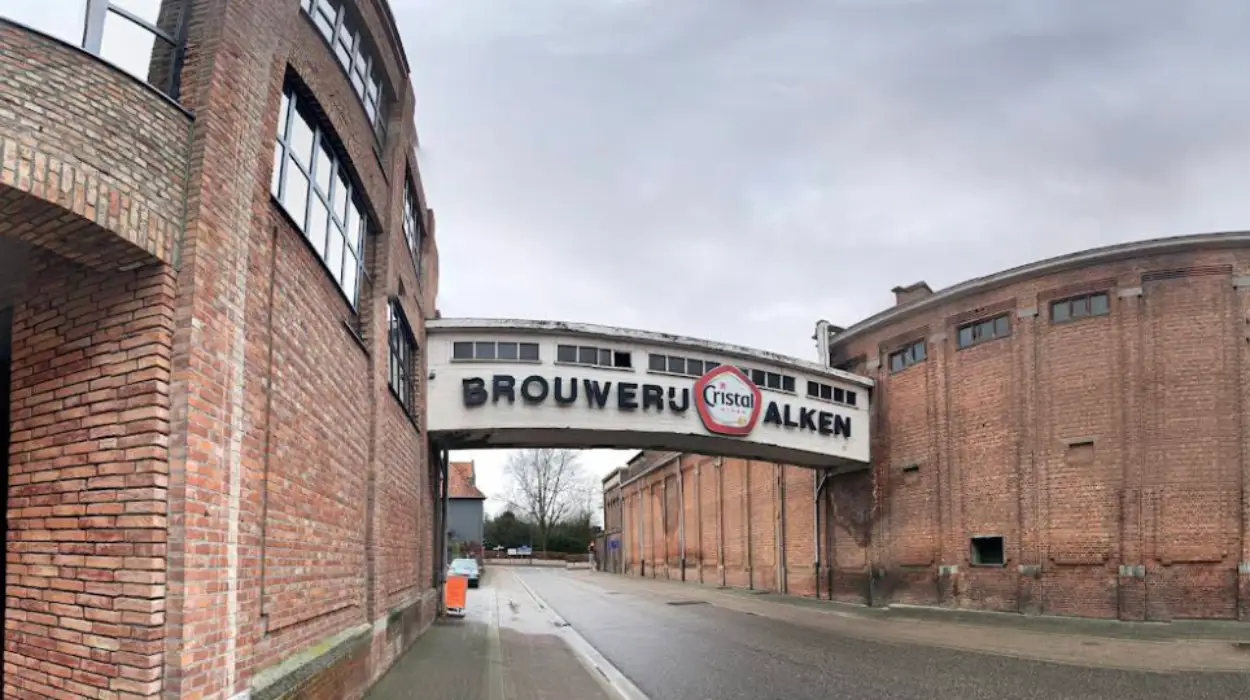 Kenny Willems, Antwerp native, appointed CEO of Alken-Maes amid declining beer sales