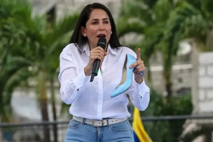 Luisa Gonzalez claims disinformation campaign seeks to link her to cartel involvement