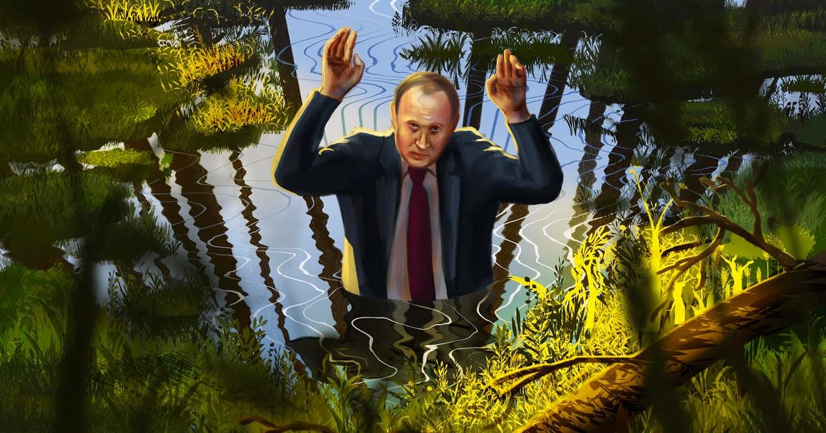 NATO's eastern members explore peatland restoration for enhanced border defense strategies