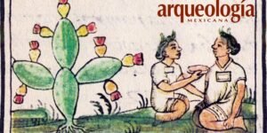 Nopal cactus: Mexico’s cultural and medicinal treasure driving economic growth