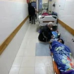 Palestinian journalist killed in Israeli airstrike as death toll among reporters rises to 239