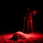 Sand shortage exacerbates turtle crisis in Cape Verde amid European influence