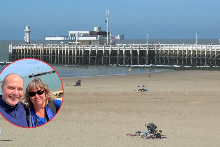 Seals return to Klein Strand in Ostend after installation of protective fence