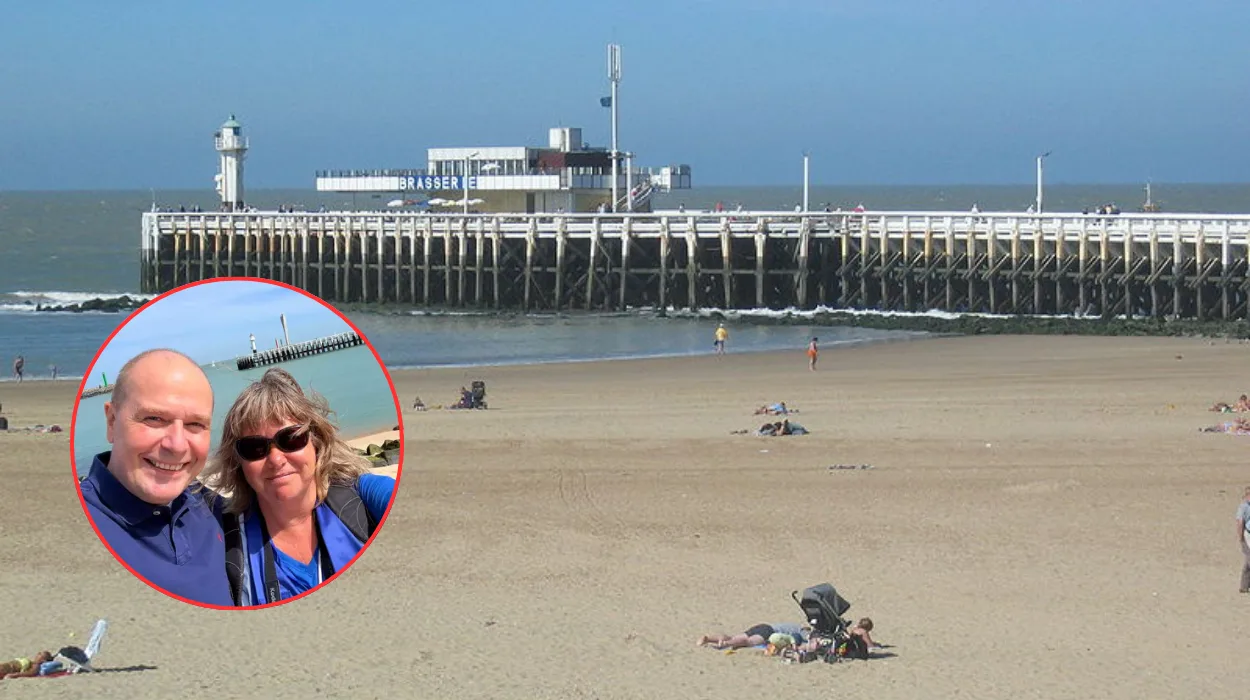 Seals return to Klein Strand in Ostend after installation of protective fence