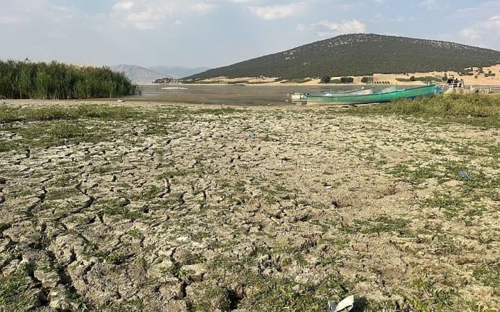 Severe drought impacts over half of Europe and the Mediterranean in early August