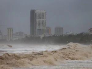 Typhoon Kajiki strikes Vietnam, causing three fatalities and widespread destruction