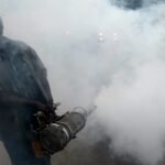 Understanding the rise of mosquito-borne diseases in Europe: West Nile, chikungunya, and dengue
