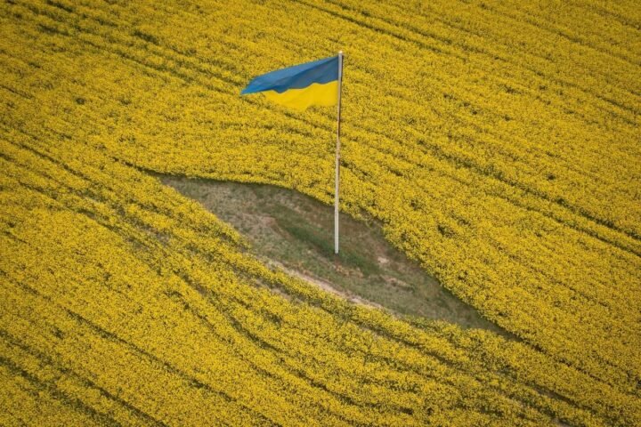 Ukraine remains key supplier for EU food security despite export decline