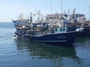 ALBA-TCP condemns U.S. actions against Venezuelan fishing vessel in exclusive economic zone