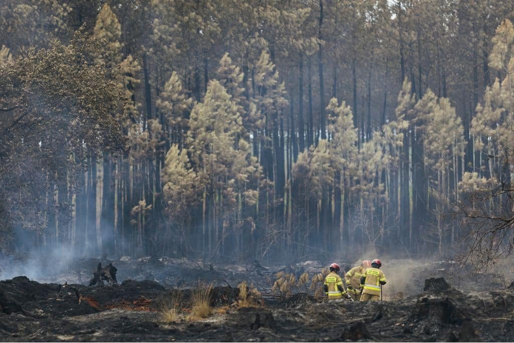 Europe faces unprecedented wildfire season as Spain and Portugal battle extreme heat