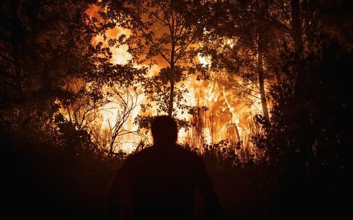 Human activity behind Europe’s record wildfires: urgent call for policy response