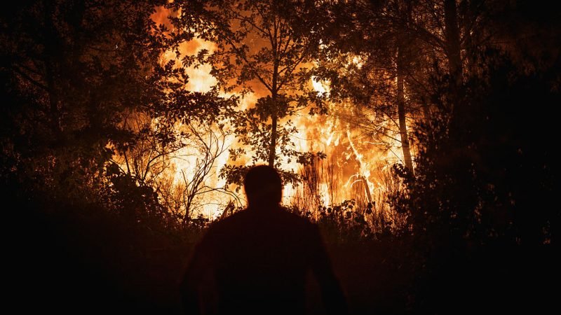 Human activity behind Europe’s record wildfires: urgent call for policy response