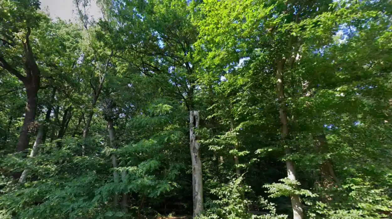 Kiewit Domain in Hasselt introduces new family bivouac site for outdoor enthusiasts