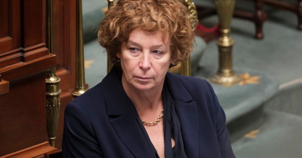 Transgender former MEP withdraws from US trade mission over concerns about Trump's policies