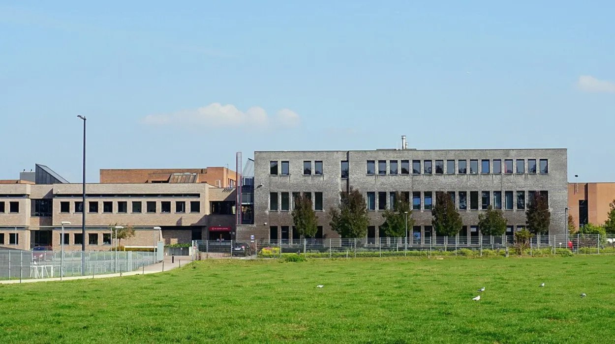 UCLL Leuven sees 20% increase in nursing and dental program enrollments