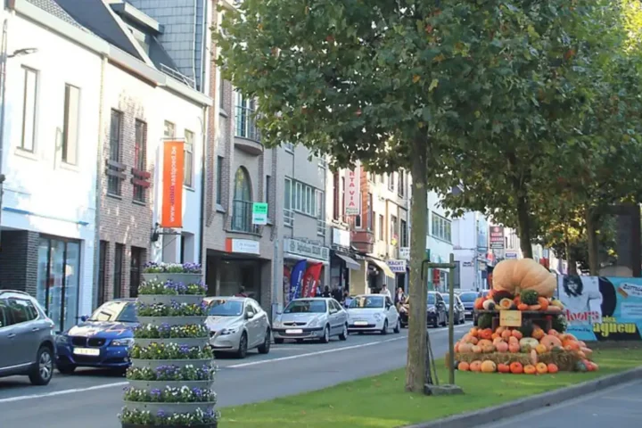 Zottegem to initiate Heldenlaan redevelopment project in 2026 with resident engagement