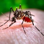 Dengue outbreak raises concerns in Panjgur as community criticizes healthcare response