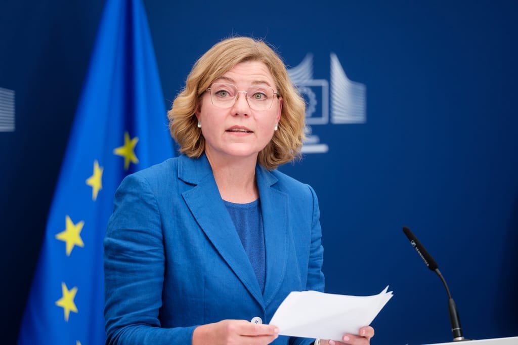 EU maintains stance on business regulations despite pressure from Trump administration