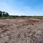 Flemish government cancels climate adaptation plan, prioritizes integration into existing initiatives