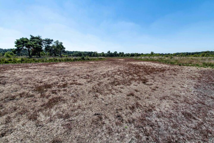 Flemish government cancels climate adaptation plan, prioritizes integration into existing initiatives