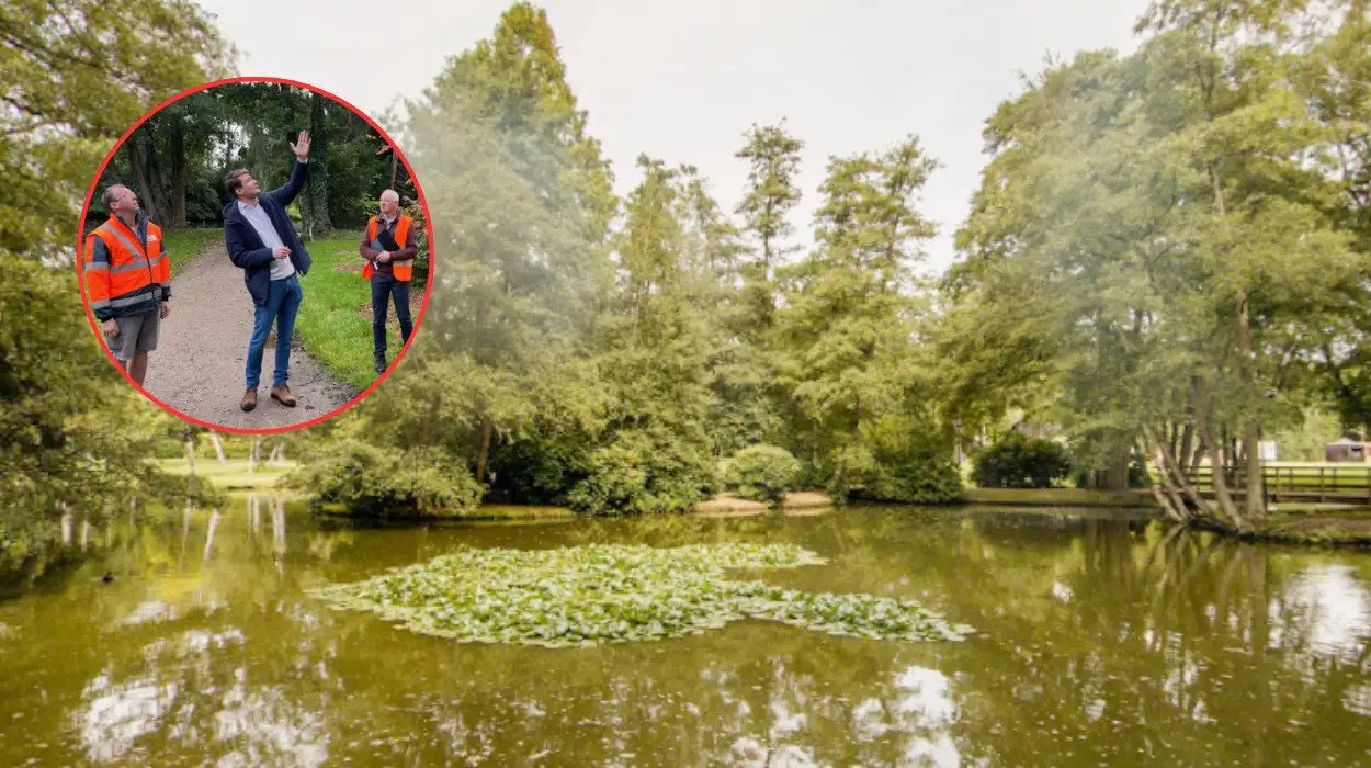 Genk invests £194,000 to redevelop 12-hectare Molenvijver Park for biodiversity and recreation